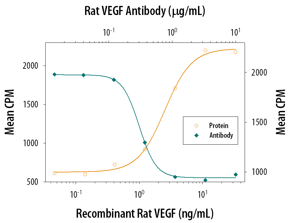 Recombinant Rat VEGF164 (Catalog # 564-RV) stimulates proliferation in HUVEC human umbilical vein endothelial cells in a dose-dependent manner (orange line). Proliferation elicited by Recombinant Rat VEGF164 (20 ng/mL) is neutralized (green line) by increasing concentrations of Goat Anti-Rat VEGF 164 Antigen Affinity-purified Polyclonal Antibody (Catalog # AF564). The ND50 is typically 0.2-0.6 µg/mL.
