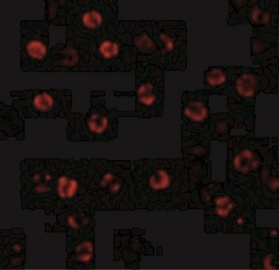 Immunocytochemistry/Immunofluorescence: Caspase-1 Antibody [NBP1-76606] - Immunofluorescence of Caspase-1 in Hela cells with Caspase-1 antibody at 20 ug/mL.