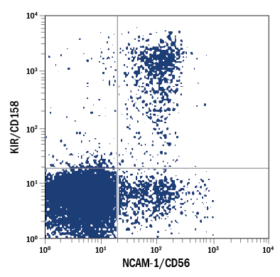 Human peripheral blood lymphocytes were stained with Mouse Anti-Human KIR/CD158 PE-conjugated Monoclonal Antibody (Catalog # FAB1848P) and Mouse Anti-Human NCAM-1/CD56 APC-conjugated Monoclonal Antibody (Catalog # FAB2408A). Quadrant markers were set based on control antibody staining (Catalog # IC0041P). View our protocol for Staining Membrane-associated Proteins. 