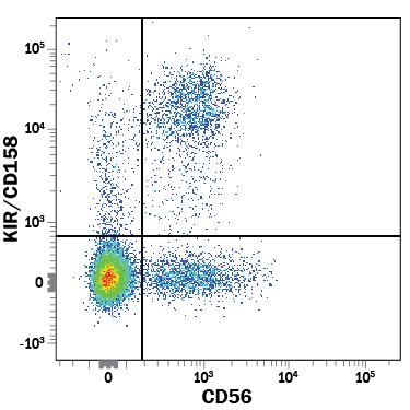 Human peripheral blood mononuclearcells (PBMCs) were stained with Mouse Anti-Human KIR/CD158 PE-conjugatedMonoclonal Antibody (Catalog # FAB1848P) and Mouse Anti-HumanNCAM-1/CD56 APC-conjugated Monoclonal Antibody(Catalog # FAB2408A).View our protocol for StainingMembrane-associated Proteins.