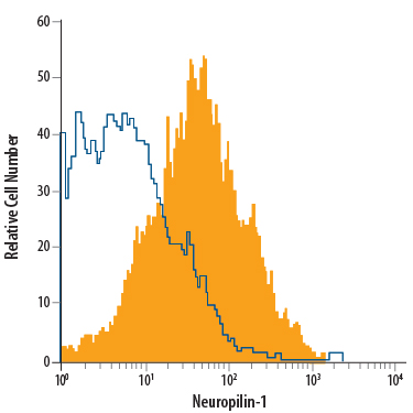 bEnd.3 mouse endothelioma cell line was stained with Goat Anti-Mouse/Rat Neuropilin-1 APC-conjugated Antigen Affinity-purified Polyclonal Antibody (Catalog # FAB566A, filled histogram) or isotype control antibody (Catalog # IC108A, open histogram). View our protocol for Staining Membrane-associated Proteins. 