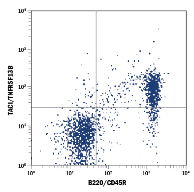 Mouse splenocytes were stained with Rat Anti-Mouse TACI/TNFRSF13B PE-conjugated Monoclonal Antibody (Catalog # FAB1041P) and Rat Anti-Mouse B220/CD45R Fluorescein-conjugated Monoclonal Antibody (Catalog # FAB1217F). Quadrant markers were set based on control antibody staining (Catalog # IC006P). View our protocol for Staining Membrane-associated Proteins.