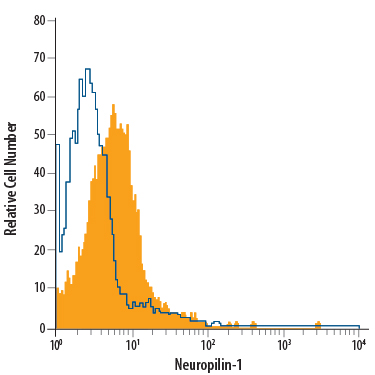 PC-12 rat adrenal pheochromocytoma cell line was stained with Goat Anti-Mouse/Rat Neuropilin-1 PE-conjugated Antigen Affinity-purified Polyclonal Antibody (Catalog # FAB566P, filled histogram) or isotype control antibody (Catalog # IC108P, open histogram). View our protocol for Staining Membrane-associated Proteins.