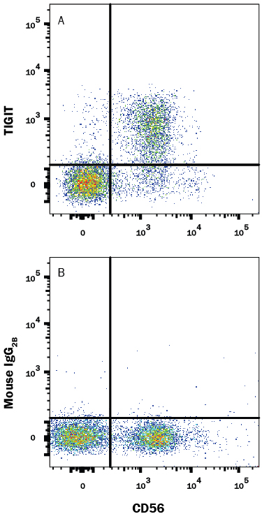 Human peripheral blood mononuclear cells (PBMCs) gated on CD3- cells were stained with Mouse Anti-Human NCAM-1/CD56 PE-conjugated Monoclonal Antibody (Catalog # FAB2408P) and either (A) Mouse Anti-Human TIGIT APC-conjugated Monoclonal Antibody (Catalog # FAB7898A) or (B) Mouse IgG2B Allophycocyanin Isotype Control (Catalog # IC0041A). View our protocol for Staining Membrane-associated Proteins.