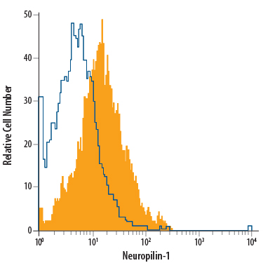 bEnd.3 mouse endothelioma cell line was stained with Goat Anti-Mouse/Rat Neuropilin-1 PerCP-conjugated Antigen Affinity-purified Polyclonal Antibody (Catalog # FAB566C, filled histogram) or isotype control antibody (Catalog # IC108C, open histogram). View our protocol for Staining Membrane-associated Proteins. 
