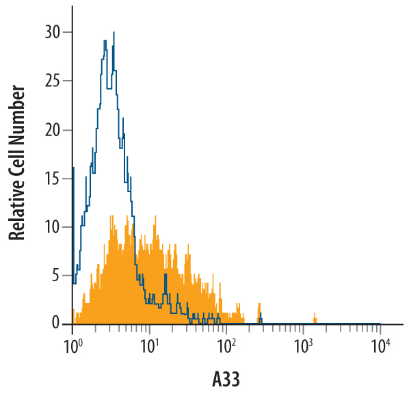 TH-29 human colon carcinoma cell line was stained with Goat Anti-Human A33 Biotinylated Antigen Affinity-purified Polyclonal Antibody (Catalog # BAF3080, filled histogram) or isotype control antibody (Catalog # BAF108, open histogram), followed by Streptavidin-Phycoerythrin (Catalog # F0040).