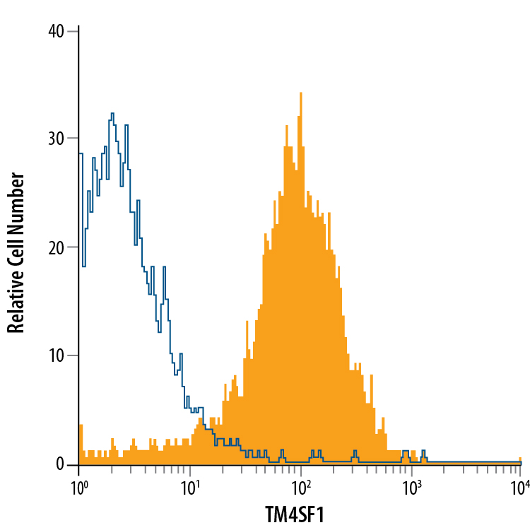 A549 human lung carcinoma cell line was stained with Mouse Anti-Human TM4SF1/L6 PE-conjugated Monoclonal Antibody (Catalog # FAB8164P, filled histogram) or isotype control antibody (Catalog # IC002P, open histogram). View our protocol for Staining Membrane-associated Proteins. 