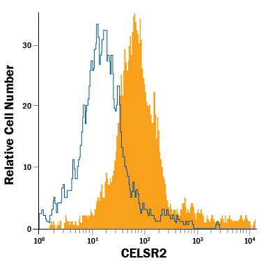SH-SY5Y  human neuroblastoma cell line was stained with Goat Anti-Human/Mouse CELSR2  APC-conjugated Antigen Affinity-purified Polyclonal Antibody  (Catalog # FAB6739A, filled histogram) or isotype control antibody  (Catalog # IC108A,  open histogram). View our protocol for Staining  Membrane-associated Proteins.