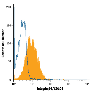 CMT-93 mouse rectal carcinoma cell line was stained with Rat Anti-Mouse Integrin  beta 4/CD104 PE-conjugated Monoclonal Antibody (Catalog # FAB4054P, filled histogram) or isotype control antibody (Catalog # IC006P, open histogram). View our protocol for Staining Membrane-associated Proteins.