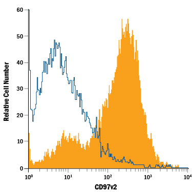 Mouse splenocytes were stained with Rat Anti-Mouse CD97v2 PE-conjugated Monoclonal Antibody (Catalog # FAB3734P, filled histogram) or isotype control antibody (Catalog # IC005P, open histogram). View our protocol for Staining Membrane-associated Proteins.