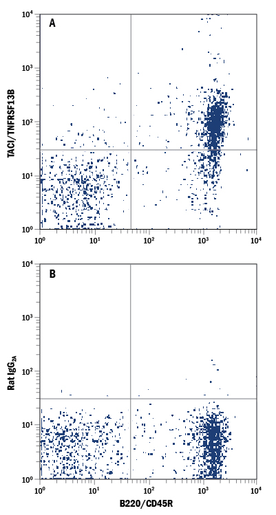 Mouse splenocytes were stained with Rat Anti-Mouse B220/CD45R PE-conjugated Monoclonal Antibody (Catalog # FAB1217P) and either (A) Rat Anti-Mouse TACI/TNFRSF13B APC-conjugated Monoclonal Antibody (Catalog # FAB1041A) or (B) Rat IgG2A Allophycocyanin Isotype Control (Catalog # IC006A). View our protocol for Staining Membrane-associated Proteins.