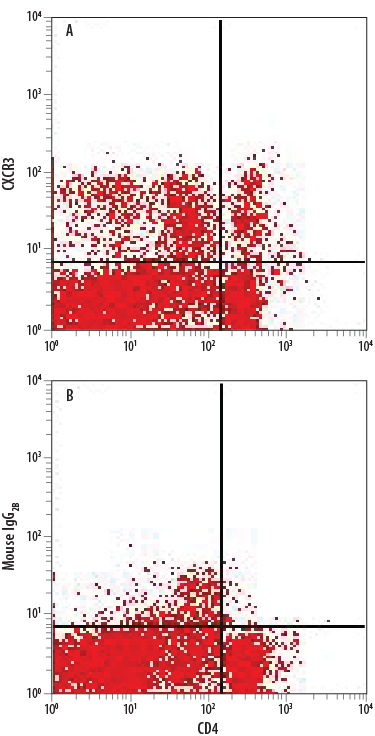 Rat splenocytes were stained with anti-rat CD4 APC-conjugated antibody and either (A) Mouse Anti-Rat CXCR3 Alexa Fluor® 488-conjugated Monoclonal Antibody (Catalog # FAB8109G) or (B) Mouse IgG2B Alexa Fluor 488 Isotype Control (Catalog # IC0041G). View our protocol for Staining Membrane-associated Proteins.