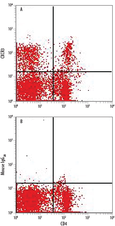 Rat splenocytes were stained with anti-rat CD4 FITC-conjugated antibody and either (A) Mouse Anti-Rat CXCR3 APC-conjugated Monoclonal Antibody (Catalog # FAB8109A) or (B) Mouse IgG2B Allophycocyanin Isotype Control (Catalog # IC0041A). View our protocol for Staining Membrane-associated Proteins.