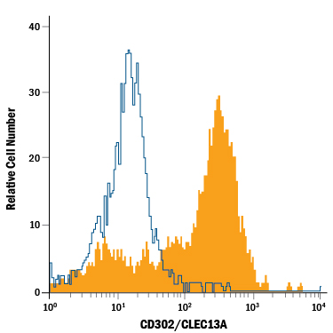 Human peripheral blood monocytes were stained with Mouse Anti-Human CD302/CLEC13A PE-conjugated Monoclonal Antibody (Catalog # FAB6367P, filled histogram) or isotype control antibody (Catalog # IC002P, open histogram). View our protocol for Staining Membrane-associated Proteins.
