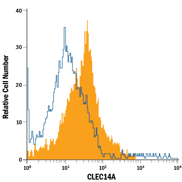 Human umbilical vein endothelial cells were stained with Mouse Anti-Human CLEC14A PE-conjugated Monoclonal Antibody (Catalog # FAB7436P, filled histogram) or isotype control antibody (Catalog # IC0041P, open histogram). View our protocol for Staining Membrane-associated Proteins.