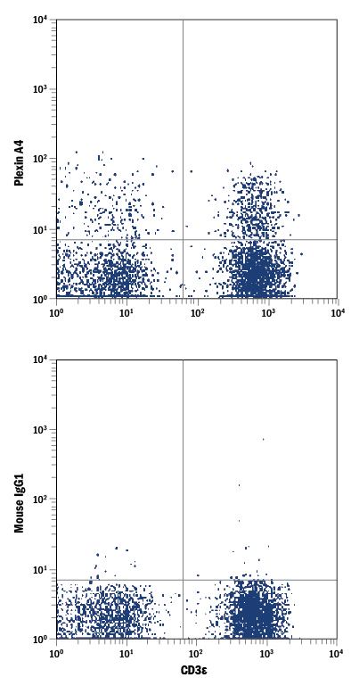 Human peripheral blood lymphocytes were stained with Mouse Anti-Human CD3e APC-conjugated Monoclonal Antibody (Catalog # FAB100A) and either (A) Mouse Anti-Human Plexin A4 PE-conjugated Monoclonal Antibody (Catalog # FAB58561P) or (B) Mouse IgG1 Phycoerythrin Isotype Control (Catalog # IC002P). View our protocol for Staining Membrane-associated Proteins.