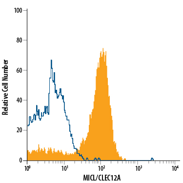 Human peripheral blood granulocytes were stained with Mouse Anti-Human MICL/CLEC12A Alexa Fluor® 700-conjugated Monoclonal Antibody (Catalog # FAB2946N, filled histogram) or isotype control antibody (Catalog # IC0041N, open histogram). View our protocol for Staining Membrane-associated Proteins.