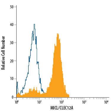 Human peripheral blood granulocytes were stained with Mouse Anti-Human MICL/CLEC12A Alexa Fluor® 488-conjugated Monoclonal Antibody (Catalog # FAB2946G, filled histogram) or isotype control antibody (Catalog # IC0041G, open histogram). View our protocol for Staining Membrane-associated Proteins.