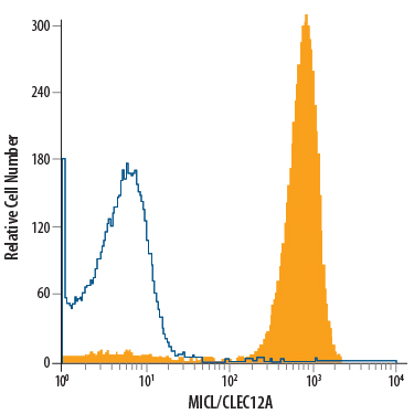 Human peripheral blood granulocytes were stained with Mouse Anti-Human MICL/CLEC12A APC-conjugated Mono­clonal Antibody (Catalog # FAB2946A, filled histo­gram) or isotype control antibody (Catalog # IC0041A, open histogram). View our protocol for Staining Membrane-associated Proteins.