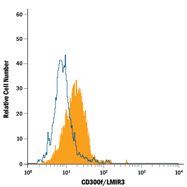 RAW 264.7 mouse monocyte/macrophage cell line was stained with Rat Anti-Mouse CD300f/LMIR3 Alexa Fluor® 488-conjugated Monoclonal Antibody (Catalog # FAB27881G, filled histogram) or isotype control antibody (Catalog # IC005G, open histogram). View our protocol for Staining Membrane-associated Proteins.