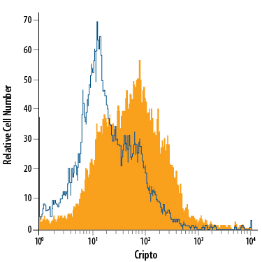 D3 mouse embryonic stem cell line was stained with Rat Anti-Mouse Cripto APC-conjugated Mono­clonal Antibody (Catalog # FAB1538A, filled histogram) or isotype control antibody (Catalog # IC013A, open histogram). View our protocol for Staining Membrane-associated Proteins.