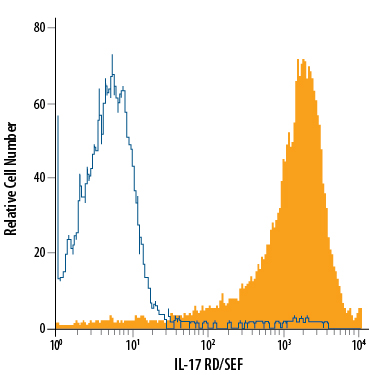 HEK293 human embryonic kidney cell line transfected with mouse IL-17 RD/SEF was stained with Rat Anti-Mouse IL-17 RD/SEF APC-conjugated Monoclonal Antibody (Catalog # FAB2276A, filled histogram) or isotype control antibody (Catalog # IC006A, open histogram). View our protocol for Staining Membrane-associated Proteins.