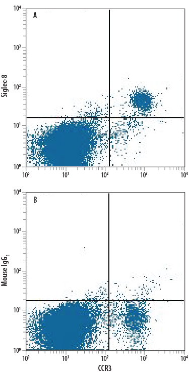 Human peripheral blood granulocytes were stained with Rat Anti-Human CCR3 PE-conjugated Monoclonal Antibody (Catalog # FAB155P) and either (A) Mouse Anti-Human Siglec-8 Alexa Fluor® 700-conjugated Monoclonal Antibody (Catalog # FAB7975N) or (B) Mouse IgG1 Alexa Fluor 700 Isotype Control (Catalog # IC002N). View our protocol for Staining Membrane-associated Proteins.