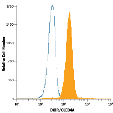 Human peripheral blood neutrophils were stained with Mouse Anti-Human DCIR/CLEC4A Fluorescein-conjugated Monoclonal Antibody (Catalog # FAB1748F, filled histogram) or isotype control antibody (Catalog # IC002F, open histogram). View our protocol for Staining Membrane-associated Proteins.