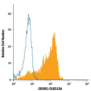Human peripheral blood monocytes were stained with Mouse Anti-Human CD302/CLEC13A Alexa Fluor® 488-conjugated Monoclonal Antibody (Catalog # FAB6367G, filled histogram) or isotype control antibody (Catalog # IC002G, open histogram). View our protocol for Staining Membrane-associated Proteins.