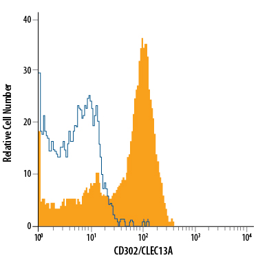 Human peripheral blood monocytes were stained with Mouse Anti-Human CD302/CLEC13A APC-conjugated Monoclonal Antibody (Catalog # FAB6367A, filled histogram) or isotype control antibody (Catalog # IC002A, open histogram). View our protocol for Staining Membrane-associated Proteins.