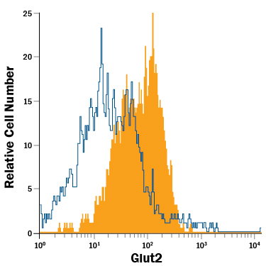 beta TC-6  mouse beta cell insulinoma cell line was stained with Rat Anti-Mouse Glut2  PE-conjugated Monoclonal Antibody (Catalog # FAB1440P, filled  histogram) or isotype control antibody (Catalog # IC013P,  open histogram). View our protocol for Staining  Membrane-associated Proteins.