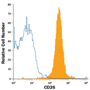 Mouse  thymocytes were stained with Rat Anti-Mouse DPPIV/CD26  PE-conjugated Monoclonal Antibody (Catalog # FAB9541P, filled  histogram) or isotype control antibody (Catalog # IC006P,  open histogram). View our protocol for Staining  Membrane-associated Proteins.