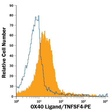 Mouse  splenocytes were treated with LPS and recombinant mouse GM-CSF (Catalog # 415-ML), then stained with Goat Anti-Mouse OX40 Ligand/TNFSF4  PE-conjugated Antigen Affinity-purified Polyclonal Antibody  (Catalog # FAB1236P, filled histogram) or isotype control antibody  (Catalog # IC108P,  open histogram). View our protocol for Staining  Membrane-associated Proteins.