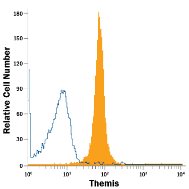Mouse thymocytes were stained with Rat Anti-Mouse Themis PE-conjugated Monoclonal Antibody (Catalog # IC6816P, filled histogram) or isotype control antibody (Catalog # IC013P, open histogram). To facilitate intracellular staining, cells were fixed with Flow Cytometry Fixation Buffer (Catalog # FC004) and permeabilized with Flow Cytometry Permeabilization/Wash Buffer I (Catalog # FC005). View our protocol for Staining Intracellular Molecules.