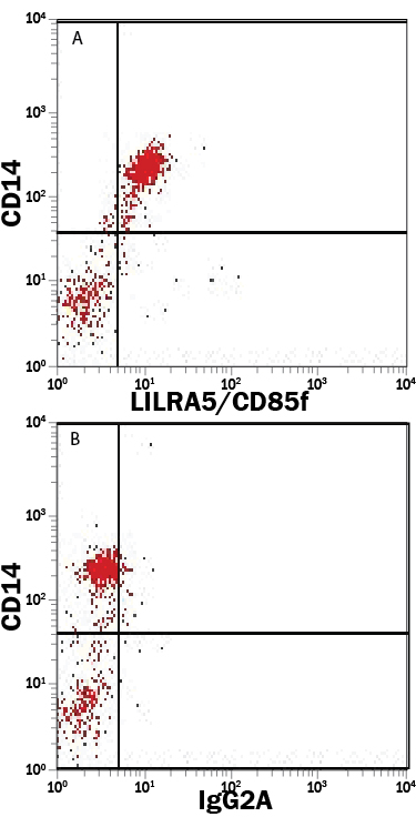Whole blood monocytes were stained with Mouse Anti-Human CD14 PerCP-conjugated Monoclonal Antibody (Catalog # FAB3832C) and either (A) Mouse Anti-Human LILRA5/CD85f Alexa Fluor® 488-conjugated Monoclonal Antibody (Catalog # FAB6754G) or (B) Mouse IgG2A Alexa Fluor 488 Isotype Control (Catalog # IC003G). View our protocol for Staining Membrane-associated Proteins.