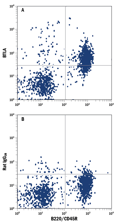 Mouse splenocytes were stained with Rat Anti-Mouse B220/CD45R APC-conjugated Monoclonal Antibody (Catalog # FAB1217A) and either (A) Rat Anti-Mouse BTLA Alexa Fluor® 488-conjugated Monoclonal Antibody (Catalog # FAB7600G) or (B) Rat IgG2B Alexa Fluor 488 Isotype Control (Catalog # IC013G). View our protocol for Staining Membrane-associated Proteins.