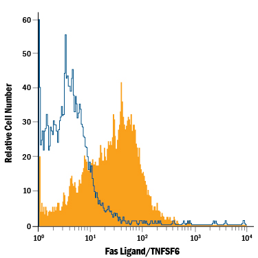 HEK293 human embryonic kidney cell line transfected with mouse Fas Ligand/TNFSF6 was stained with Rat Anti-Mouse Fas Ligand/TNFSF6 APC-conjugated Monoclonal Antibody (Catalog # FAB526A, filled histogram) or isotype control antibody (Catalog # IC005A, open histogram). View our protocol for Staining Membrane-associated Proteins.