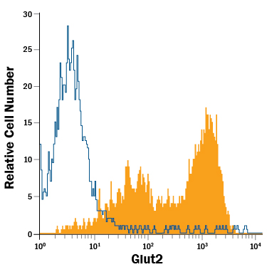 beta TC-6  mouse beta cell insulinoma cell line was stained with Rat Anti-Mouse Glut2  APC-conjugated Monoclonal Antibody (Catalog # FAB1440A, filled  histogram) or isotype control antibody (Catalog # IC013A,  open histogram). View our protocol for Staining  Membrane-associated Proteins.