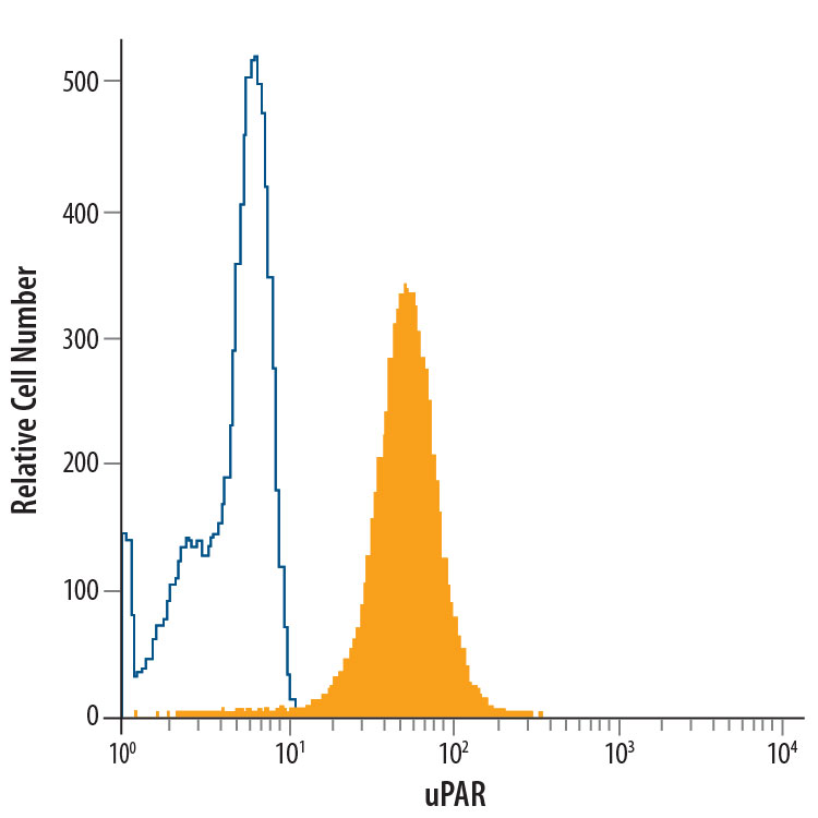 Human peripheral blood granulocytes were stained with Mouse Anti-Human uPAR PE-conjugated Monoclonal Antibody (Catalog # FAB807P, filled histogram) or isotype control antibody (Catalog # IC002P, open histogram). View our protocol for Staining Membrane-associated Proteins.