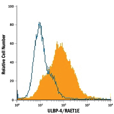 HepG2 human hepatocellular carcinoma cell line was stained with Mouse Anti-Human ULBP-4/RAET1E PE-conjugated Monoclonal Antibody (Catalog # FAB6285P, filled histogram) or isotype control antibody (Catalog # IC0041P, open histogram). View our protocol for Staining Membrane-associated Proteins.