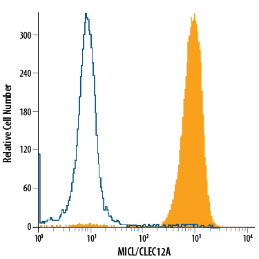 Human peripheral blood granulocytes were stained with Mouse Anti-Human MICL/CLEC12A PE-conjugated Monoclonal Antibody (Catalog # FAB2946P, filled histogram) or isotype control antibody (Catalog # IC0041P, open histogram). View our protocol for Staining Membrane-associated Proteins.