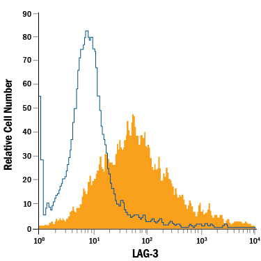 Mouse splenocytes treated with PMA and Calcium Ionomycin for 3 days were stained with Rat Anti-Mouse LAG-3 PE-conjugated Monoclonal Antibody (Catalog # FAB33281P, filled histogram) or isotype control antibody (Catalog # IC013P, open histogram). View our protocol for Staining Membrane-associated Proteins.