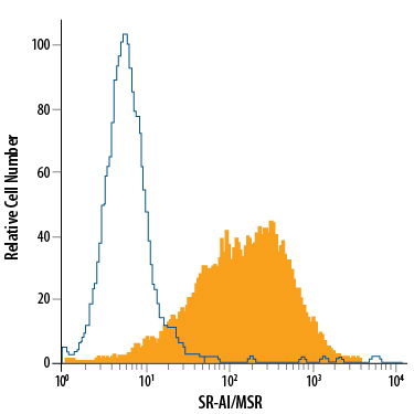 RAW 264.7 mouse monocyte/macrophage cell line was stained with Rat Anti-Mouse SR-AI/MSR PE-conjugated Monoclonal Antibody (Catalog # FAB1797P, filled histogram) or isotype control antibody (Catalog # IC013P, open histogram). View our protocol for Staining Membrane-associated Proteins.