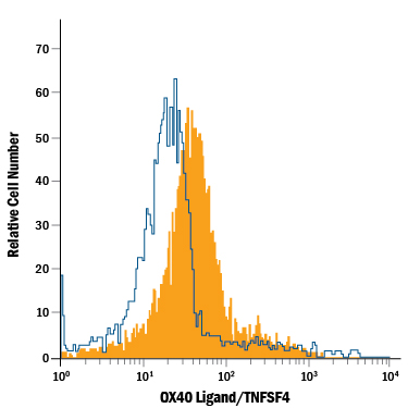 Mouse splenocytes were stained with Goat Anti-Mouse OX40 Ligand/TNFSF4 Fluorescein-conjugated Antigen Affinity-purified Polyclonal Antibody (Catalog # FAB1236F, filled histogram) or isotype control antibody (Catalog # IC108F, open histogram). View our protocol for Staining Membrane-associated Proteins.