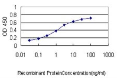 ELISA: PCNA associated factor Antibody (3C11-1F11) [H00009768-M01] - Detection limit for recombinant GST tagged KIAA0101 is approximately 0.03ng/ml as a capture antibody.