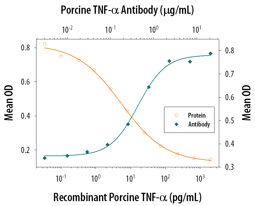 Recombinant Porcine TNF‑ alpha  (Catalog #690‑PT) induces cytotoxicity in the the PK‑15 porcine kidney epithelial cell line in a dose-dependent manner (orange line), as measured by crystal violet staining. Cytotoxicity elicited by Recombinant Porcine TNF‑ alpha  (0.05 ng/mL) is neutralized (green line) by increasing concentrations of Goat Anti-Porcine TNF‑ alpha  Antigen Affinity-purified Polyclonal Antibody (Catalog # AF690). The ND50 is typically 0.2-0.8 µg/mL in the presence of the metabolic inhibitor actinomycin D (1 µg/mL).