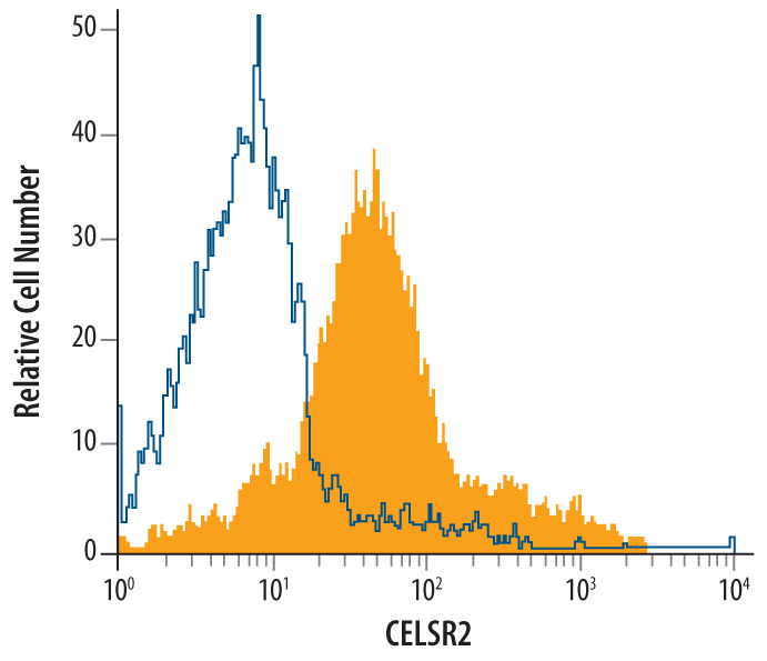 SH‑SY5Y human neuroblastoma cell line was stained with Goat Anti-Human CELSR2 Antigen Affinity-purified Polyclonal Antibody (Catalog # AF6739, filled histogram) or isotype control antibody (Catalog # AB-108-C, open histogram), followed by Allophycocyanin-conjugated Anti-Goat IgG Secondary Antibody (Catalog # F0108).