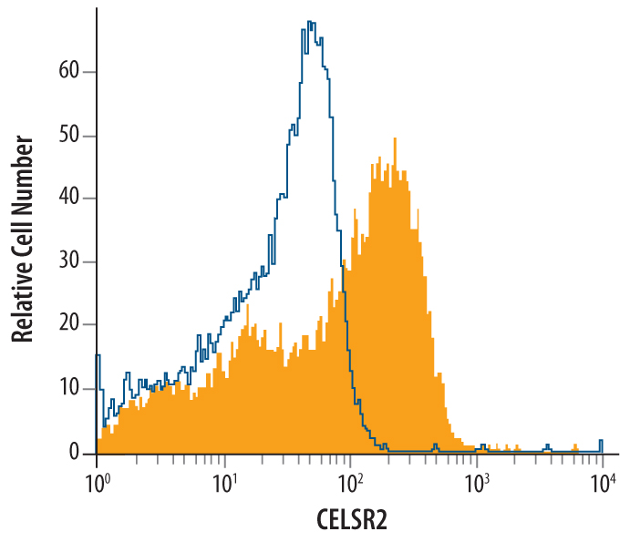 bEnd.3 mouse endothelioma cell line was stained with Goat Anti-Human CELSR2 Antigen Affinity-purified Polyclonal Antibody (Catalog # AF6739, filled histogram) or isotype control antibody (Catalog # AB‑108‑C, open histogram), followed by Allophycocyanin-conjugated Anti-Goat IgG Secondary Antibody (Catalog # F0108).