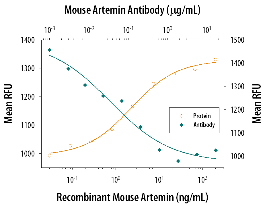 Recombinant Mouse Artemin (Catalog # 1085-AR) stimulates proliferation in the SH‑SY5Y human neuroblastoma cell line in a dose-dependent manner (orange line). Proliferation elicited by Recombinant Mouse Artemin (15 ng/mL) is neutralized (green line) by increasing concentrations of Goat Anti-Mouse Artemin Antigen Affinity-purified Polyclonal Antibody (Catalog # AF1085). The ND50 is typically 0.1-0.3 µg/mL.