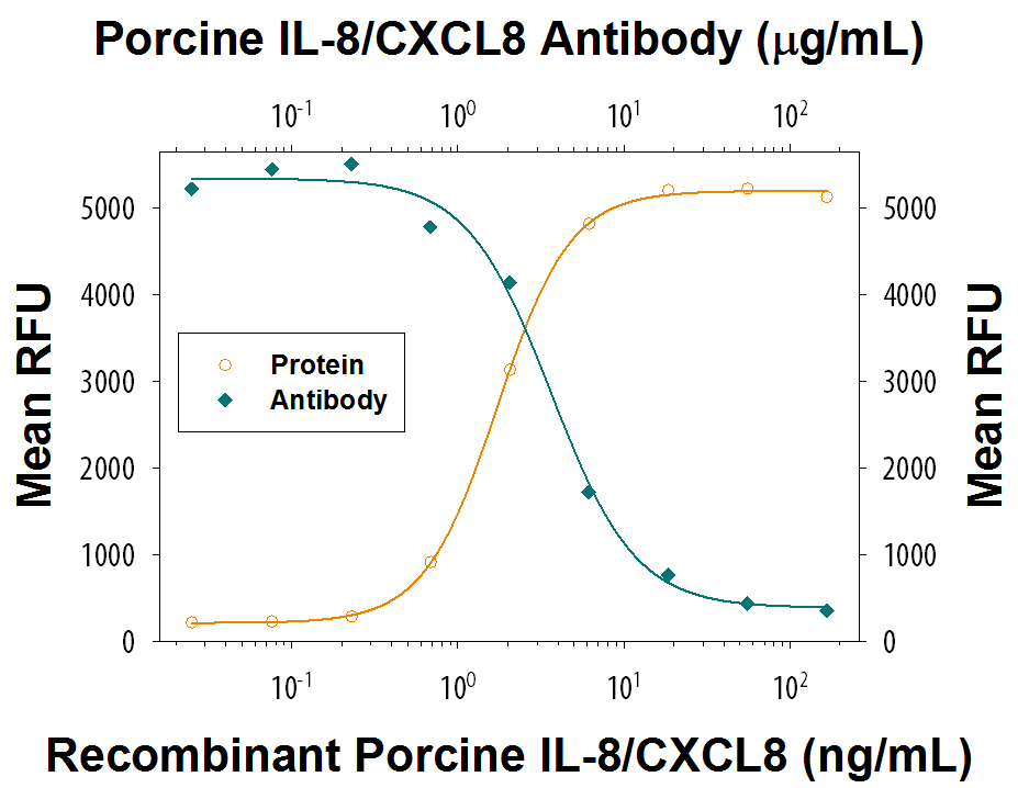 Recombinant Porcine IL-8/CXCL8 (Catalog # 535-IN) chemoattracts the BaF3 mouse pro‑B cell line transfected with human CXCR2 in a dose-dependent manner (orange line). The amount of cells that migrated through to the lower chemotaxis chamber was measured by Resazurin (Catalog # AR002). Chemotaxis elicited by Recombinant PorcineIL-8/CXCL8 (50 ng/mL) is neutralized (green line) by increasing concentrations of Porcine IL-8/CXCL8 Monoclonal Antibody (Catalog # MAB5351). The ND50 is typically 1-6 µg/mL.